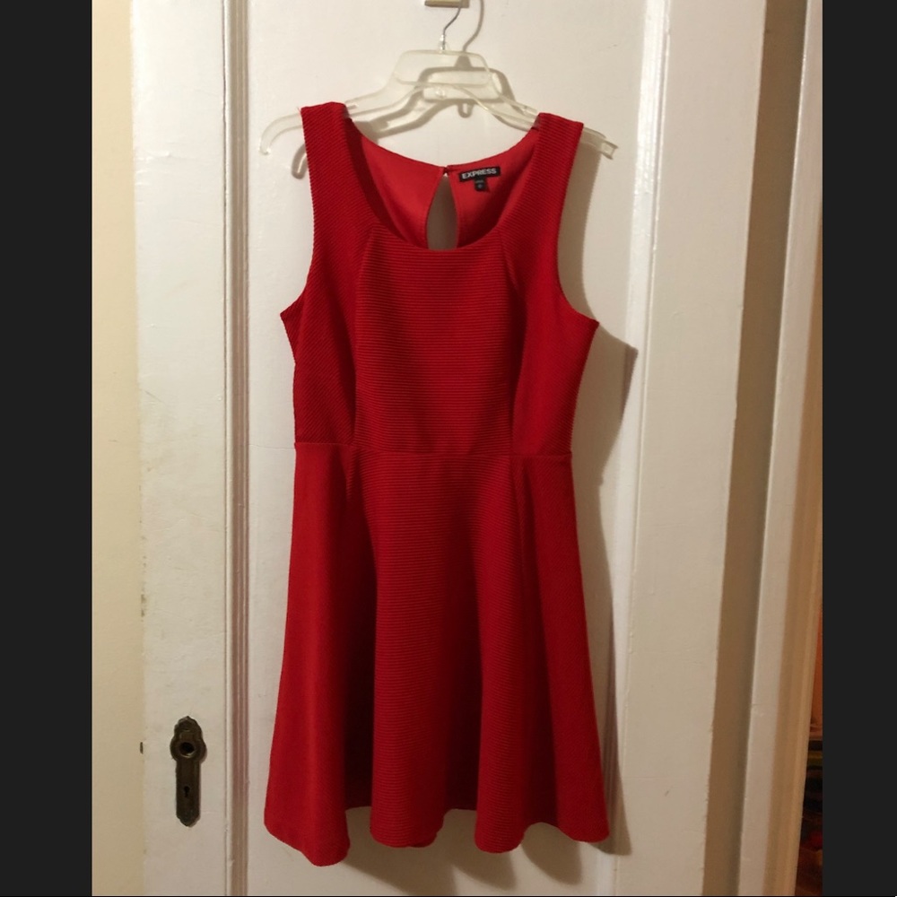 Express Little Red Dress